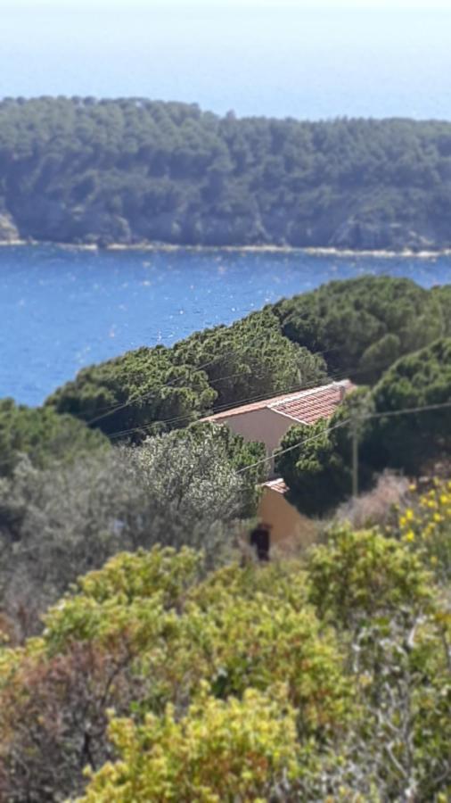 Residence La Calle Isola D'Elba Dış mekan fotoğraf